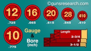 gauge 01