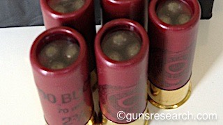 pellet 01